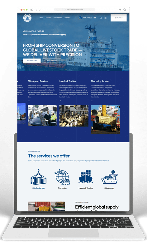 Website Design and Development for Blue Rock Shipping